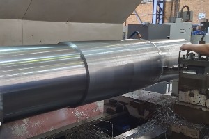 roller shaft