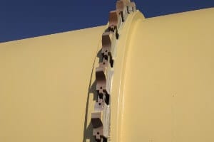 sprocket on reactor